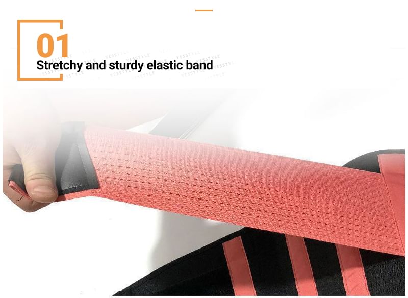 Pedigree - Taille Trainer Korset Riem