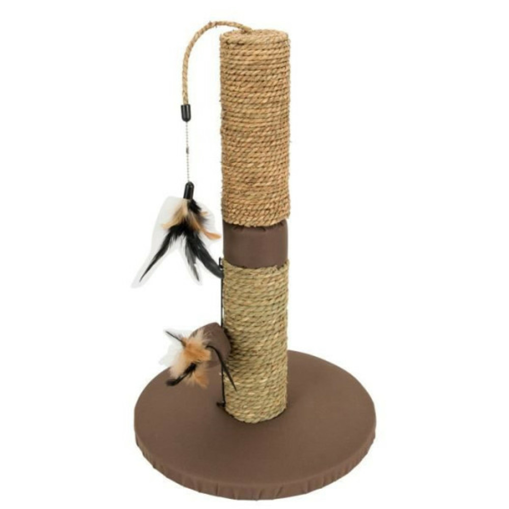 Aime poteau griffoir simple - pour chat