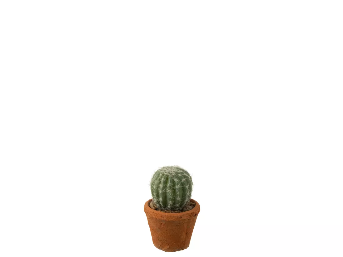 Cactus rond en pot plastique vert 8x8x15cm