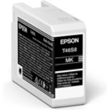 Epson UltraChrome Pro10 cartouche d'encre 1 pièce(s) Original Noir