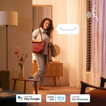 Philips smart LED giant filament E27 40W