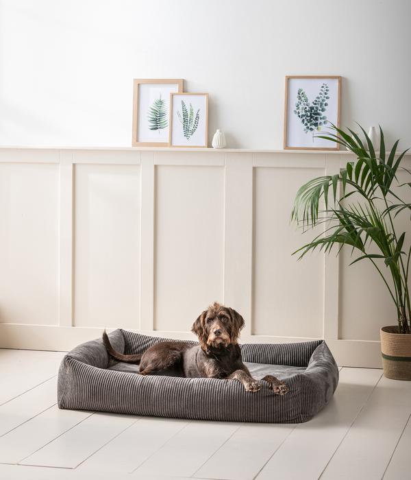 Dehner Premium Orthopädisches Hundebett
