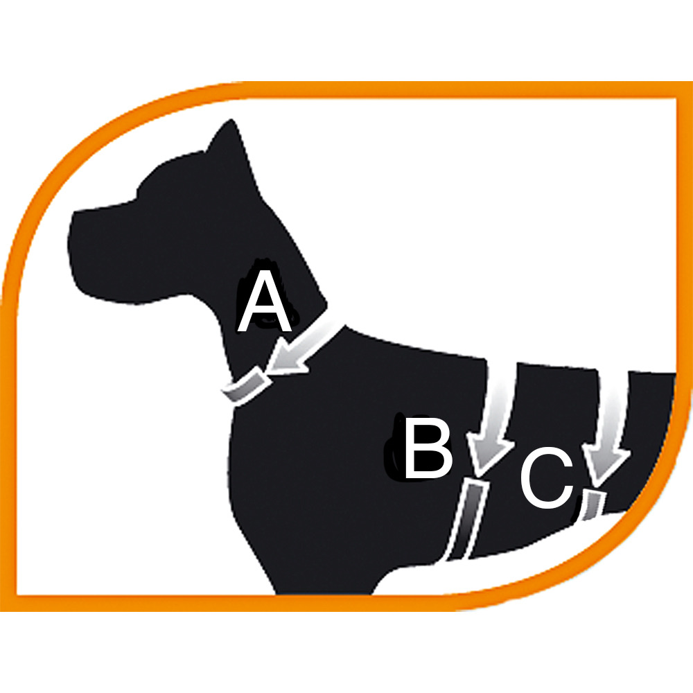 Ferplast harnais petit chien ergotrekking extra small, anti-évasion, anti-panique, harnais chien, lévrier, réfléchissant, 6
