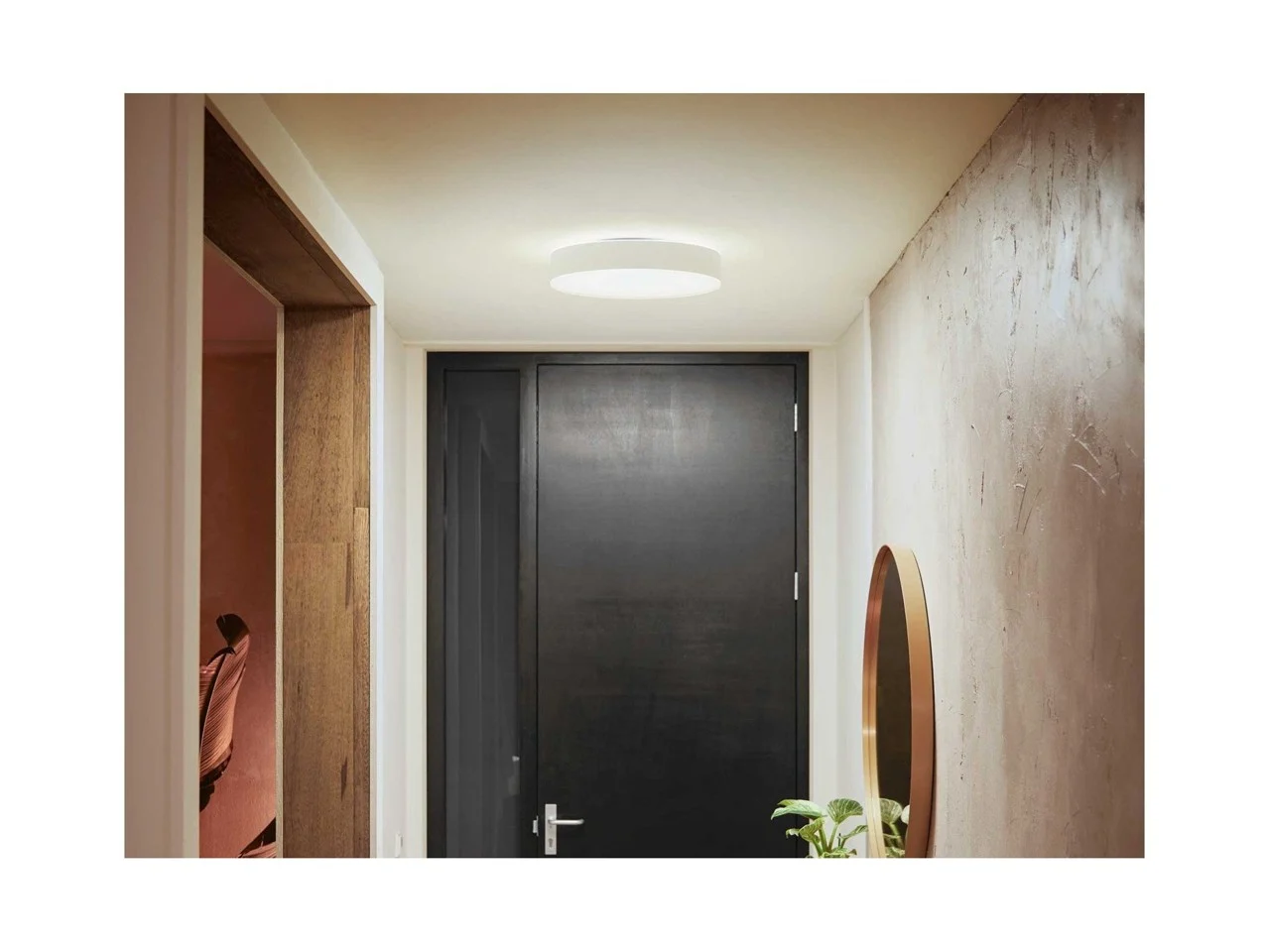 Philips Hue - 2xEnrave - 38 cm - White Ambiance & Bridge - Bundle