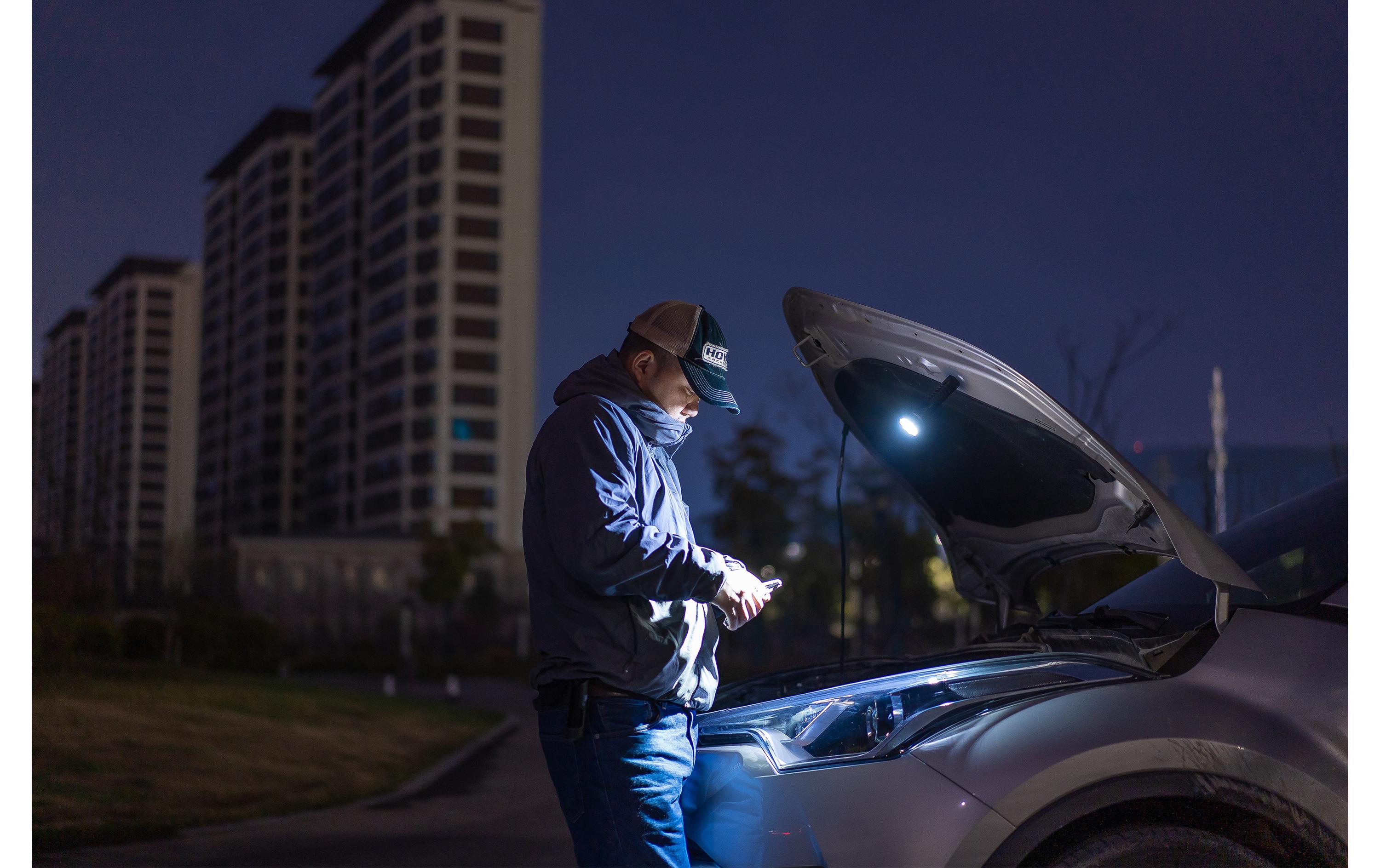 Prowess Taschenlampe & Laterne<br>Taschenlampe