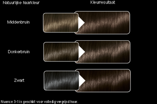 Syoss Color Salonplex 3-1 Donkerbruin 1ST