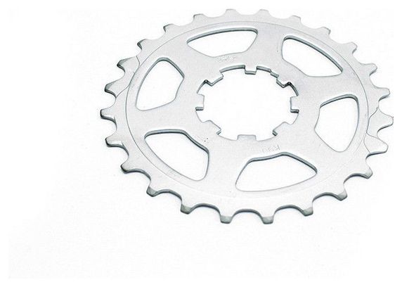 Pignon polyvalente Miche 11v Campagnolo 13T