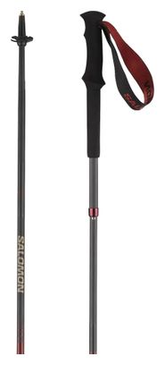 Bâtons de Randonnée Salomon Quest Carbon Foldable Noir Unisex