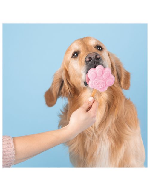 Smoofl Honden Ijsvorm - Hondensnacks - Paars L