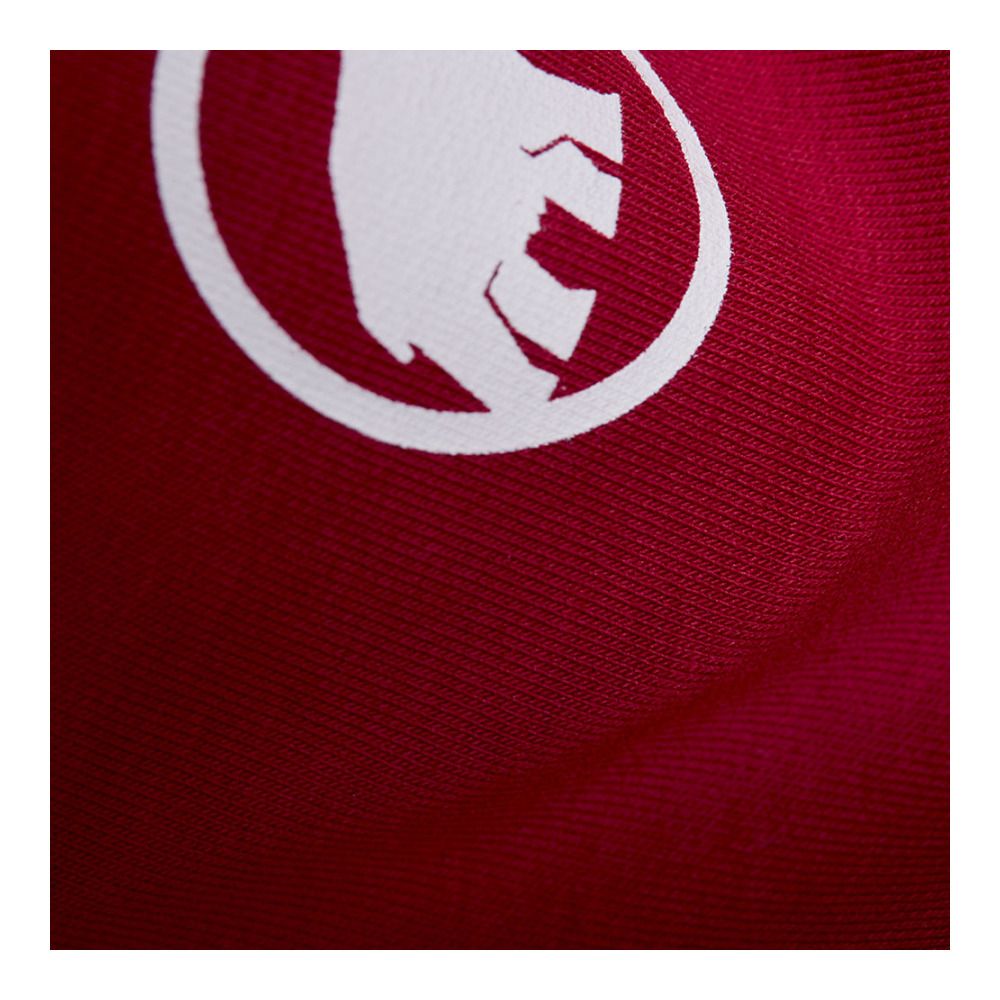 Mammut CORE ML CREW NECK ORIGINAL - Sweat Homme blood red