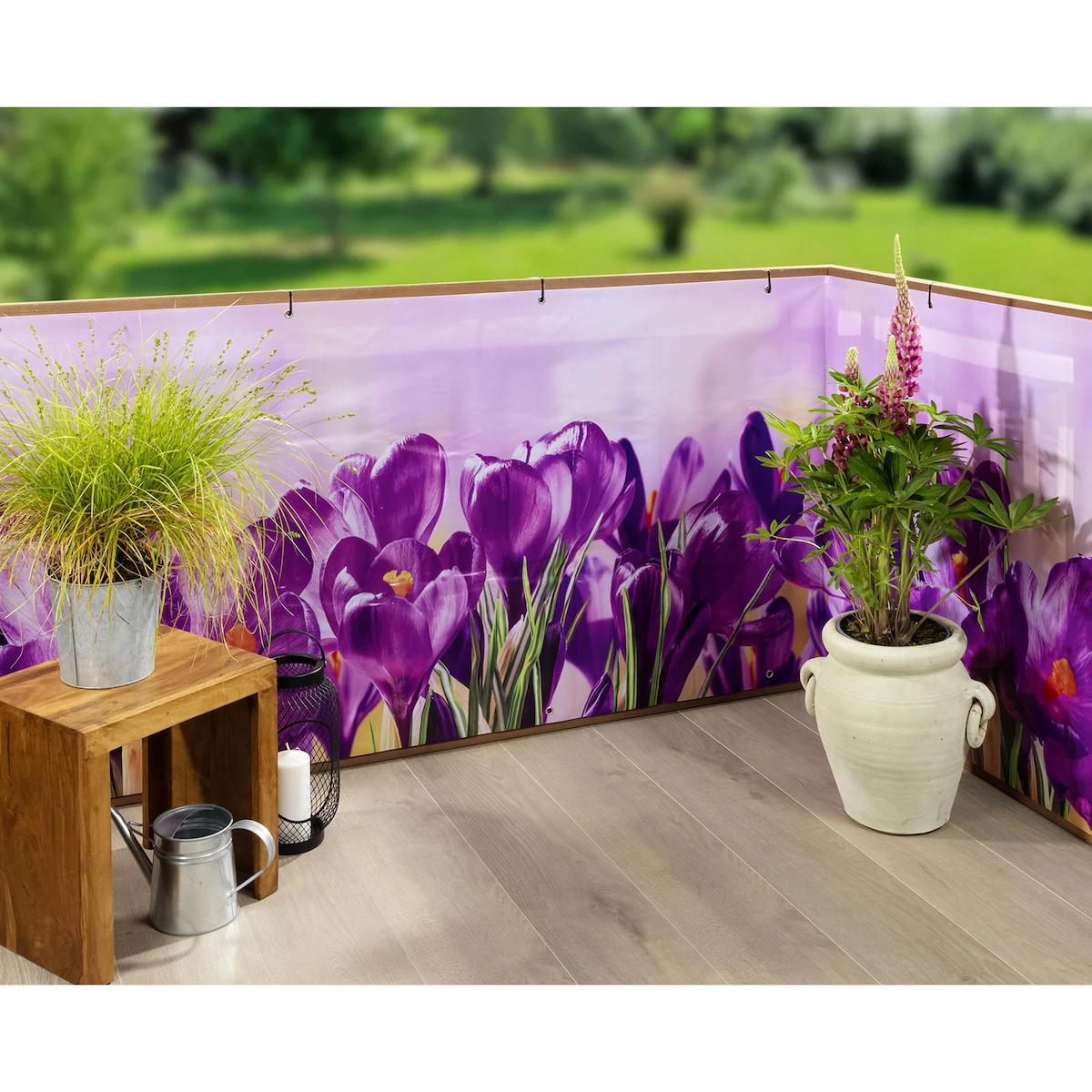 Maximex - Balkon-Sichtschutz - Krokusse