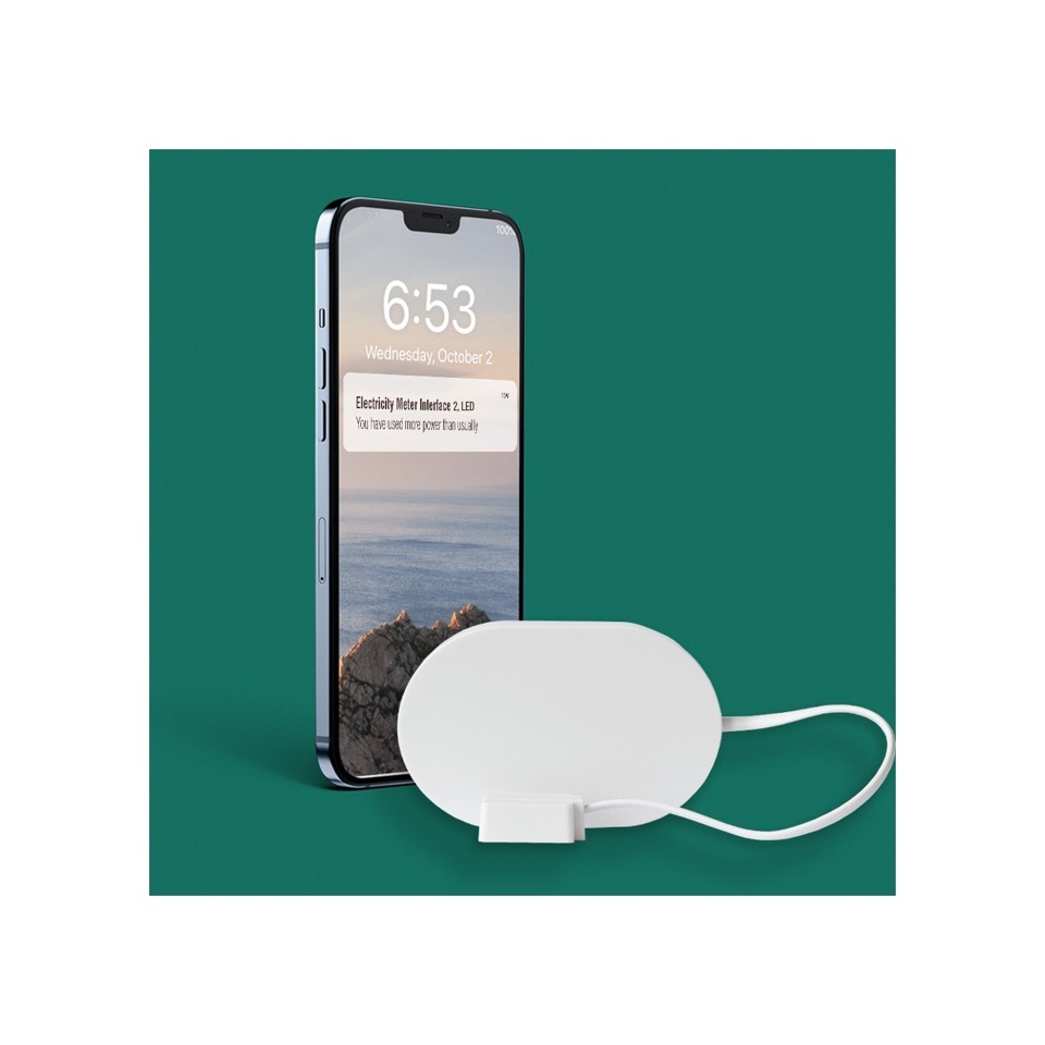 Homey - Bridge & Freint - Elforbrugsmåler Interface 2 - Bundle