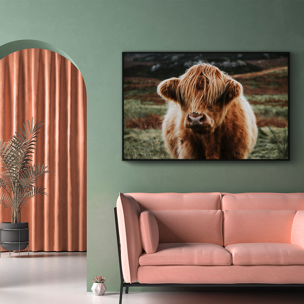 Walljar plexiglas schilderij - Schotse Hooglander Plexiglas schilderij - 120 x 180 cm