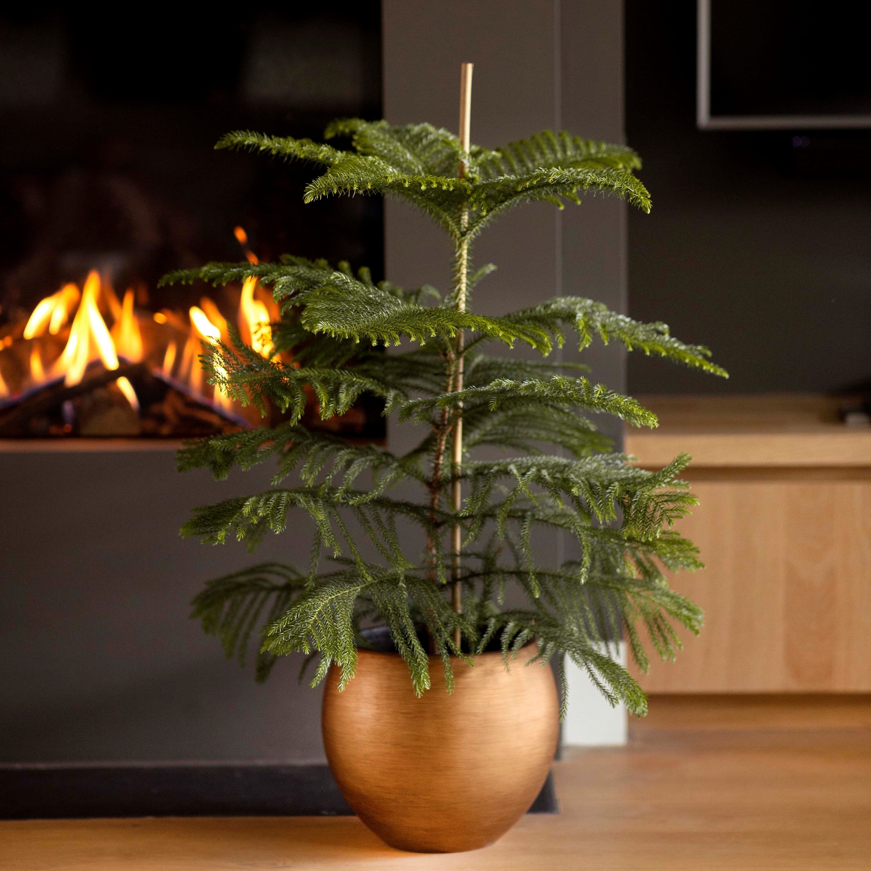 Capi Europe Groove Bloempot Ã 29 cm