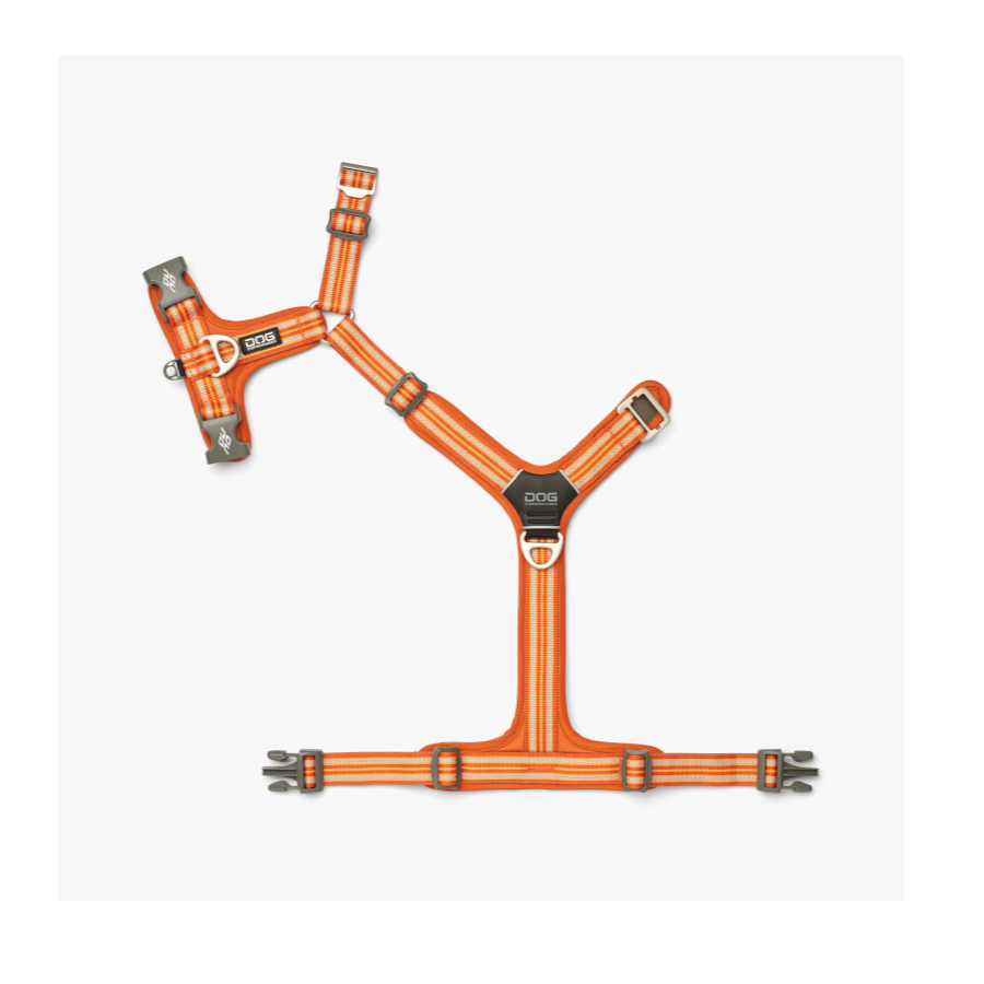 Coleira para cães Dog Copenhagen Comfort Walk Air Laranja