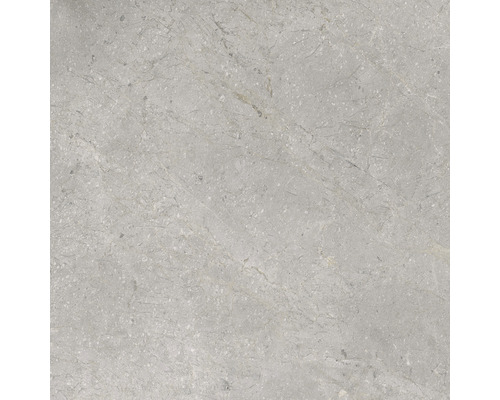 Porseleinen wand- en vloertegel Lido 59,7 x 59,7 cm zilver