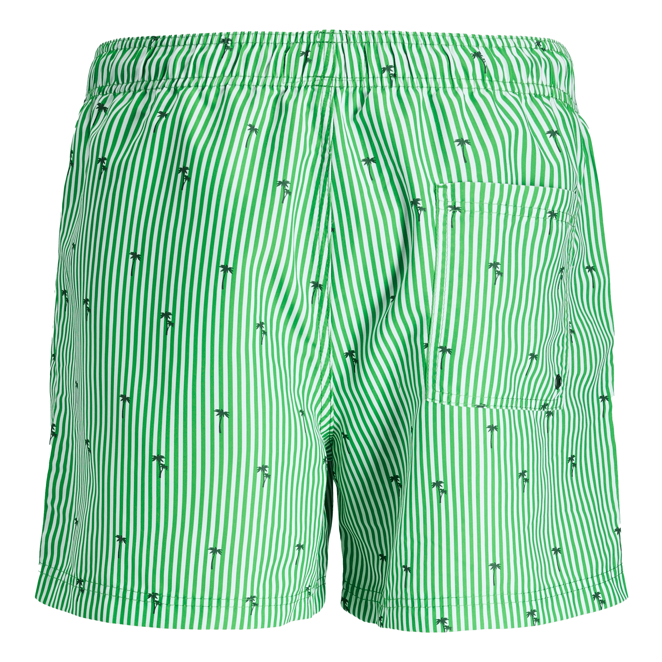North Pro Sunset stripe swim shorts - Svømming