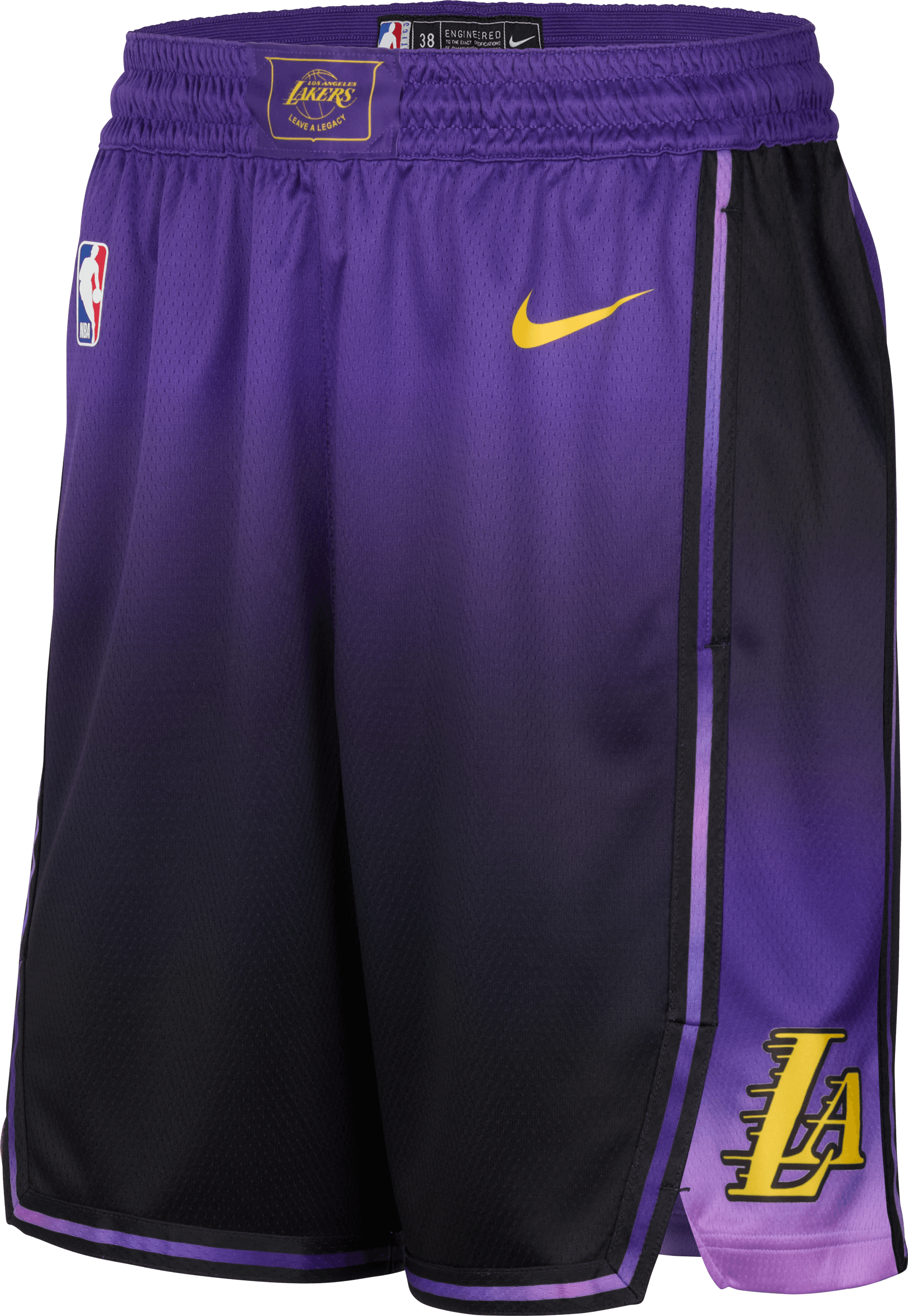 Nike LA Lakers Swingman Short 2024 Lila F504