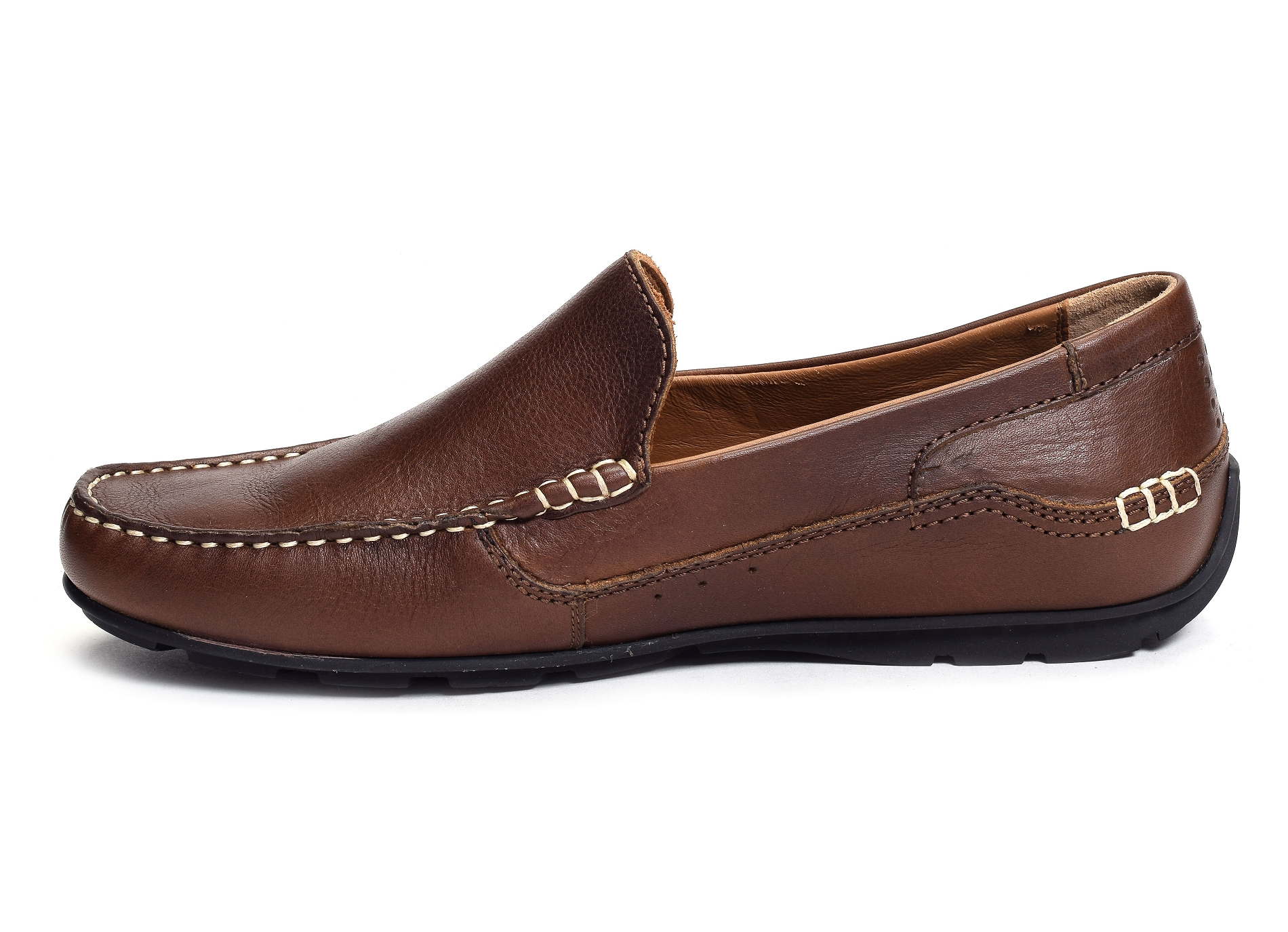 Sauric marron
