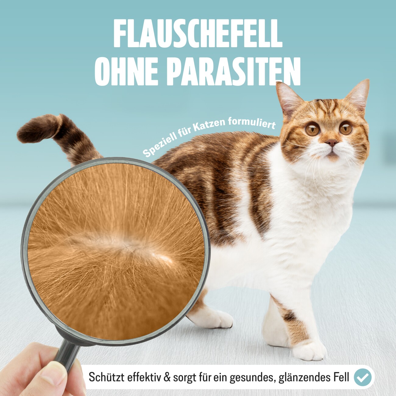 Futum Spot On (6x1,2ml) für Katzen 7 ml
