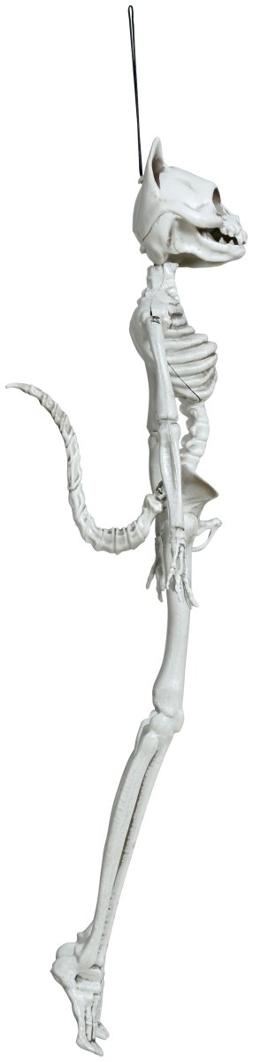 Halloween Skelet Kat 37cm