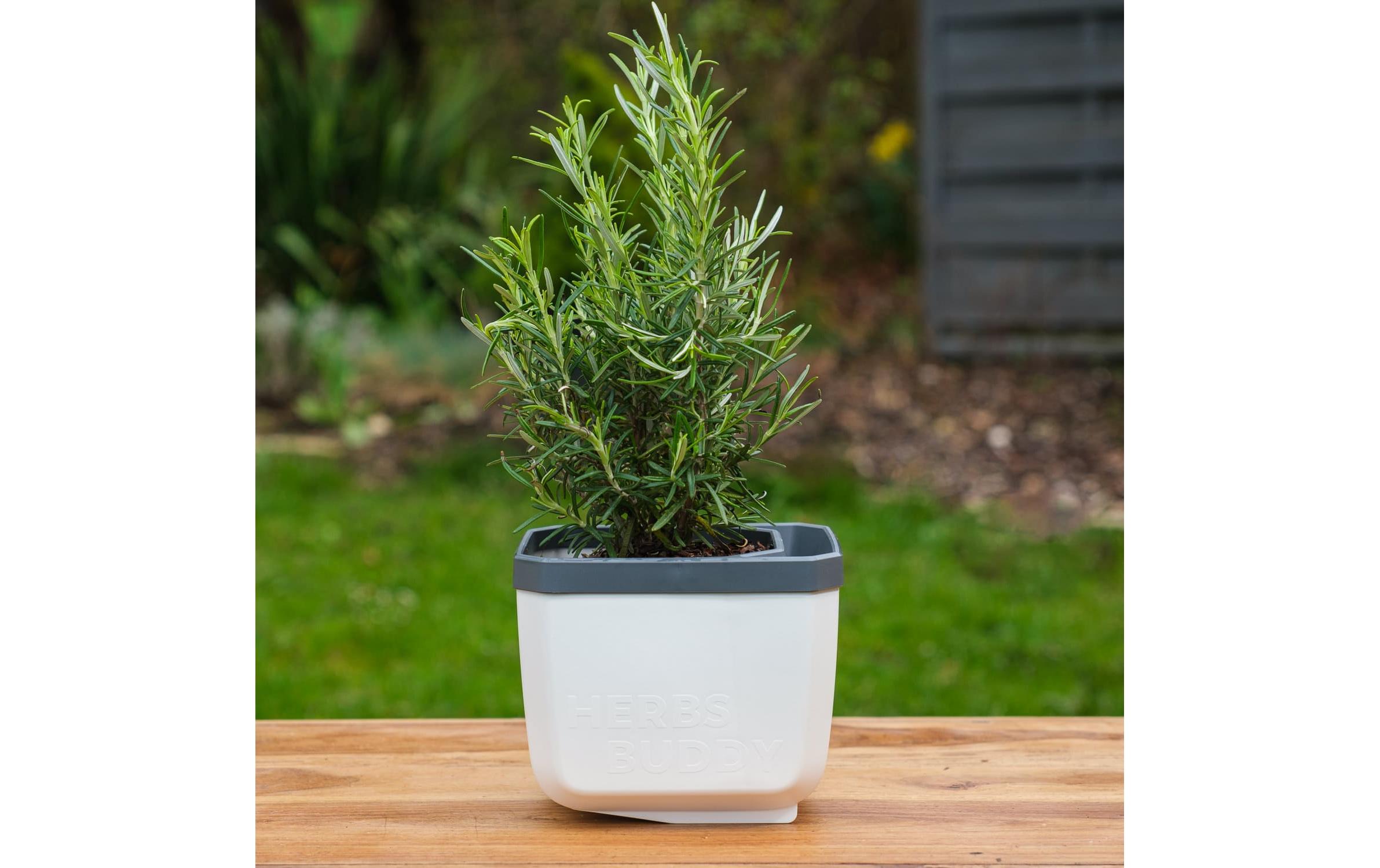 HERBS BUDDY Kräutertopf 3er Set WeissKräutertopf mit Wasserreservoir und Kippfunktion