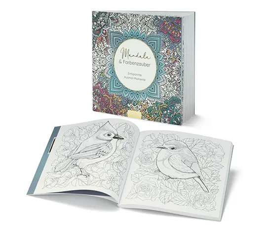Buch: »Mandala und Farbenzauber«