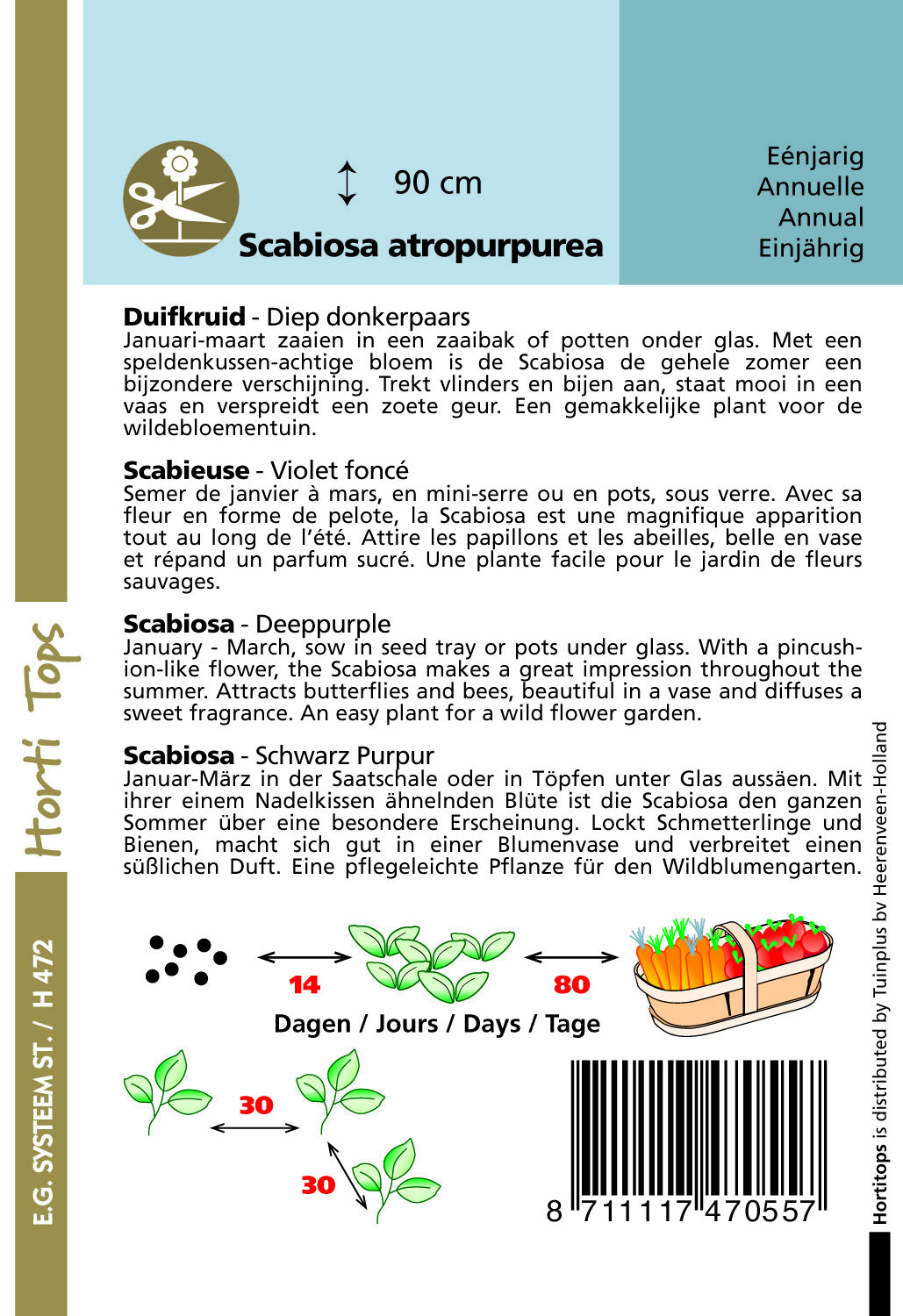 Hortitops Duifkruid Sweet paars Scabiosa atropurpurea - Bloemzaden
