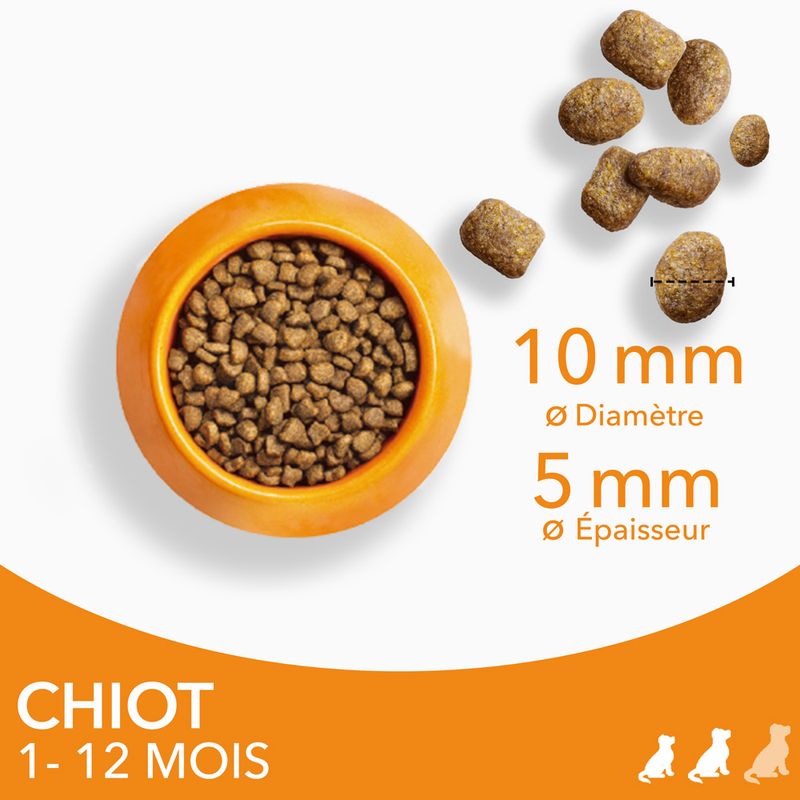 IAMS Advanced Nutrition Puppy Small & Medium poulet