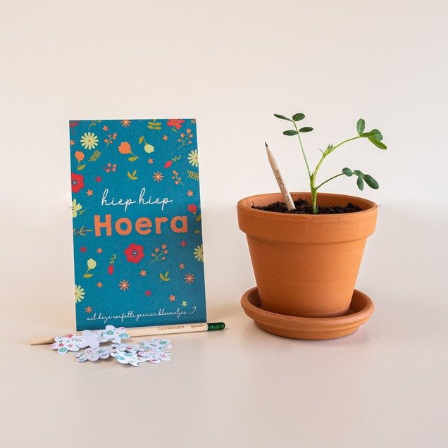 Bloeipotloden - Hoera   confetti