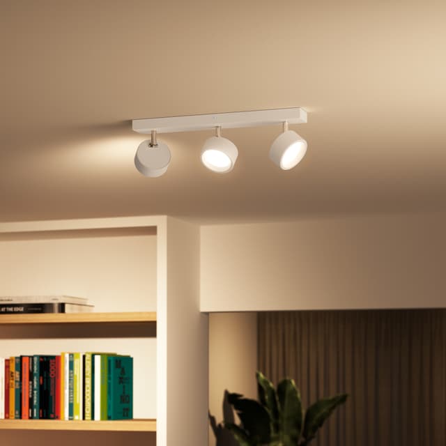 Philips Bracia spotlys 16,5 W