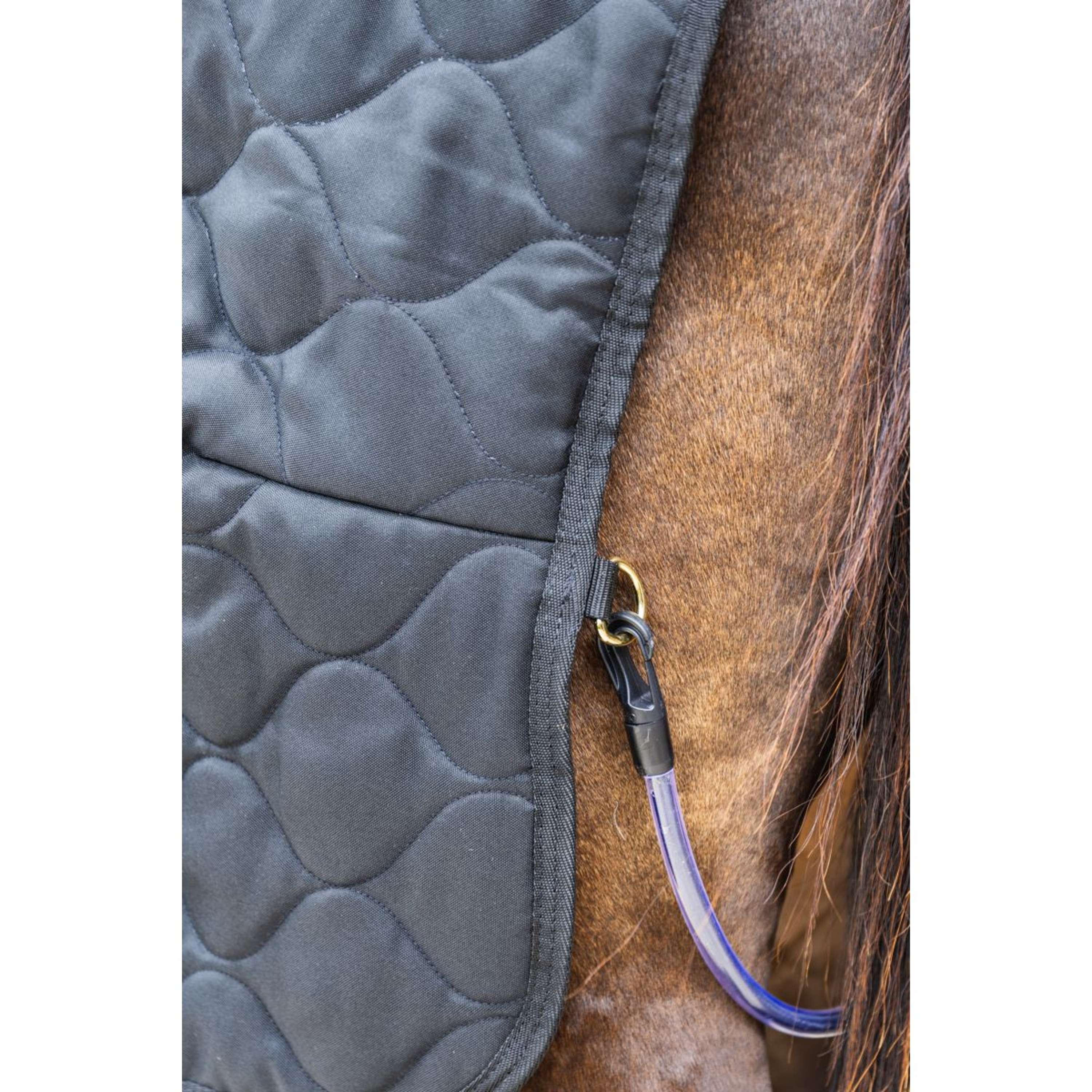 Kentucky Staldeken Comfort 100g Zwart