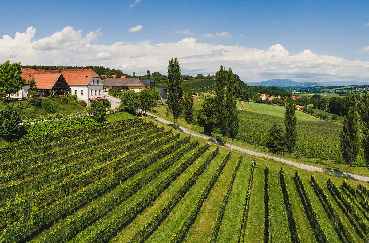 Picknick Bad Waltersdorf