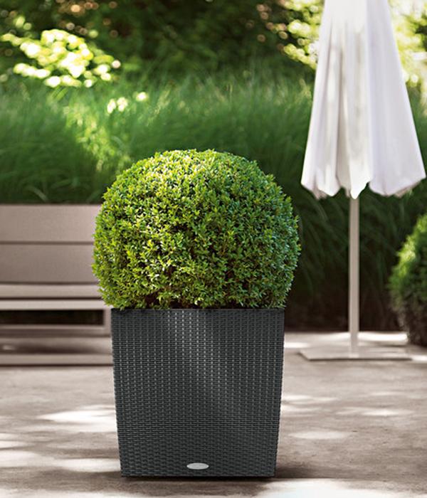 LECHUZA® Kunststoff-Topf Cube Cottage,