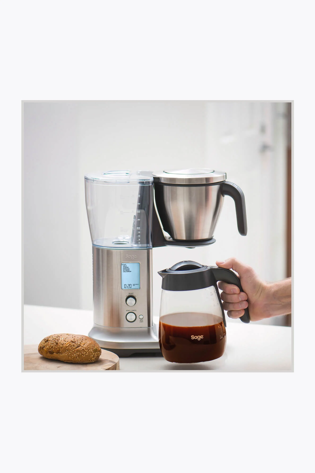 Sage the Sage Precision Brewer® Glass
