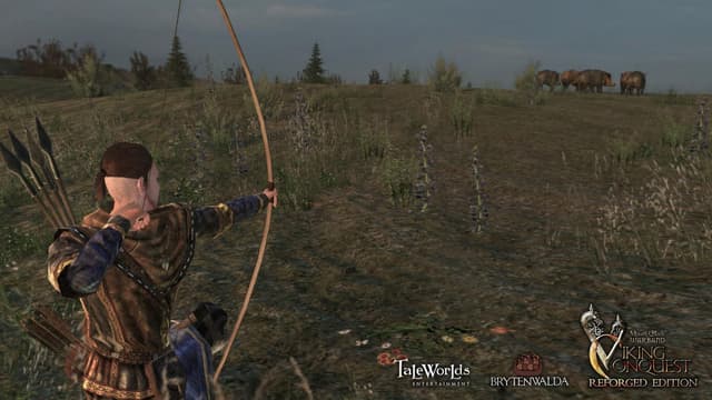 Mount & Blade Warband