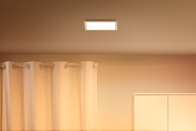 WiZ loftslampe 929003241801