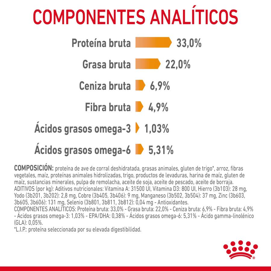 Ração Royal Canin Hair & Skin para gatos