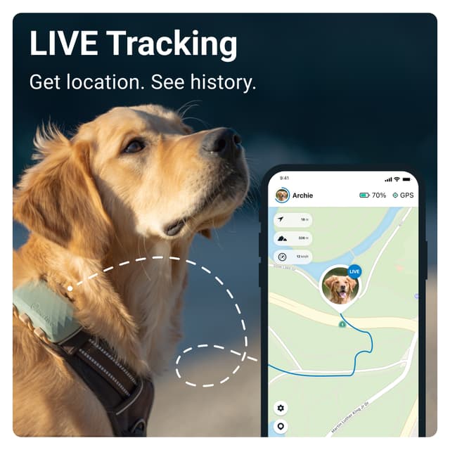 Tractive DOG XL GPS tracker til hund (grøn)