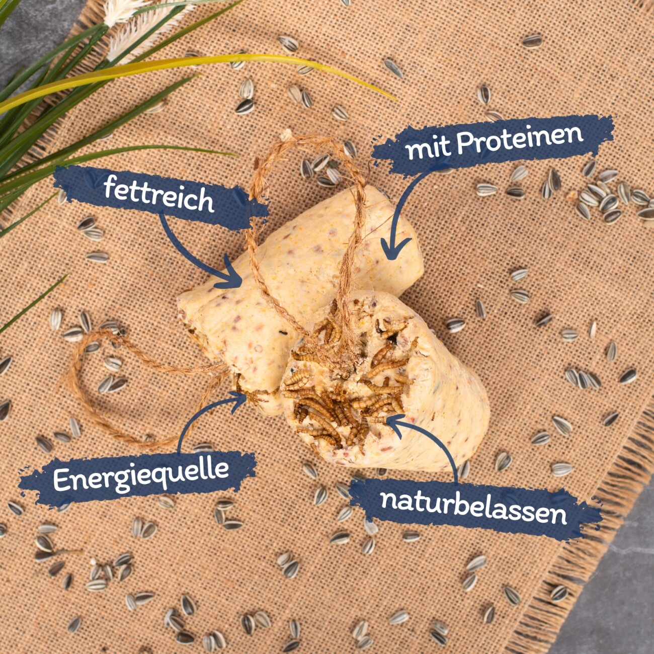Lyra Pet Protein Boost Körner Riegel mit Mehlwürmern