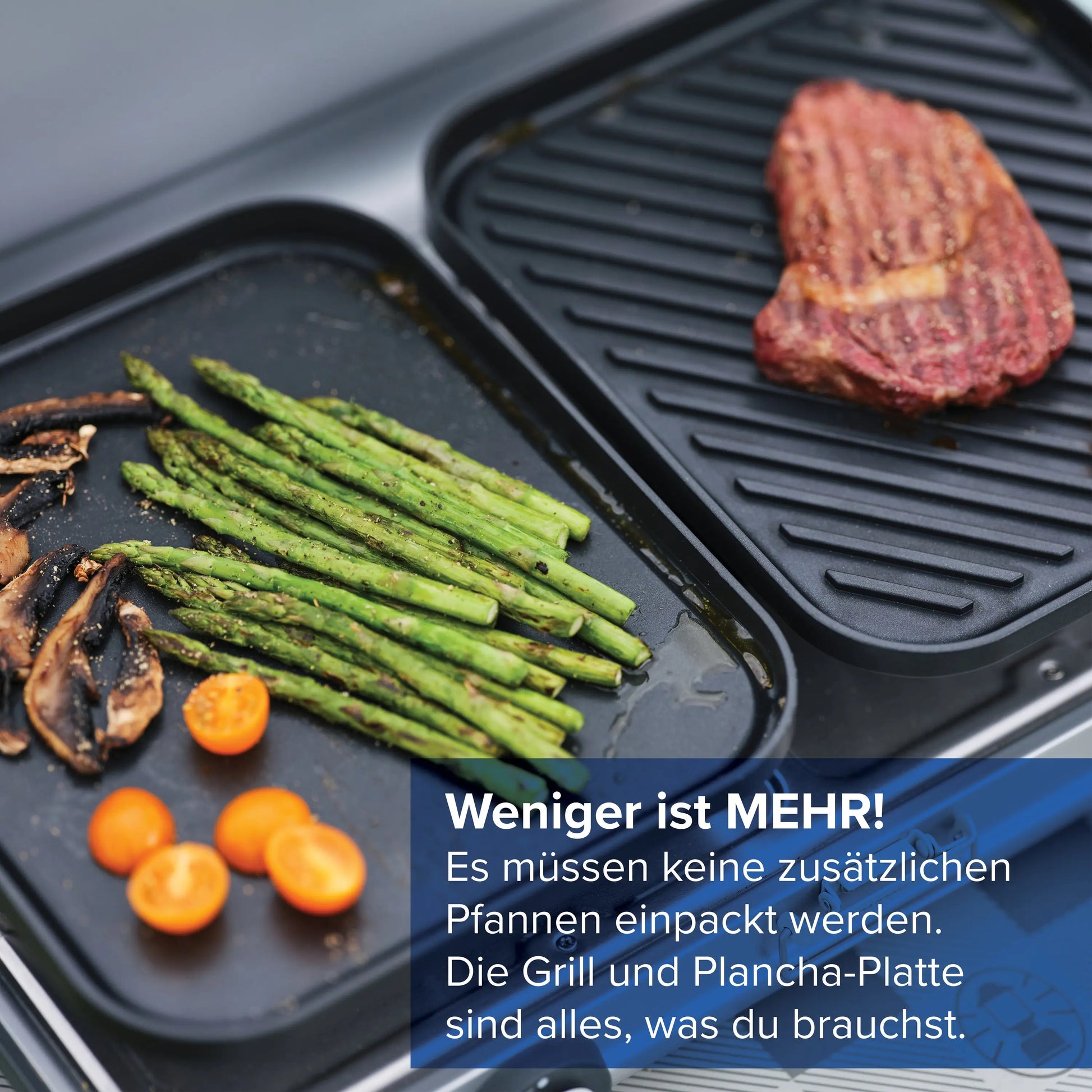 Camping Kitchen 2 Grill & Go CV