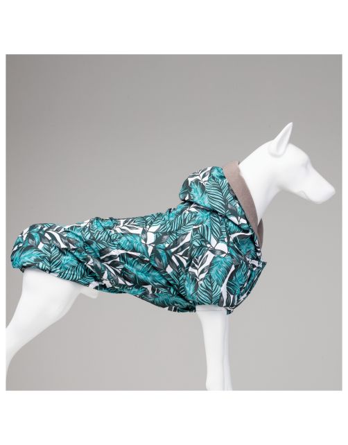 Lindo Honden Regenjas Aqua - Hondenkleding - Zwart 5