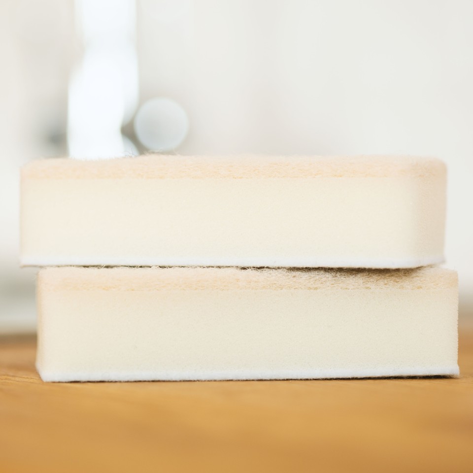 Retro Controller Sponges Set of 2, with Scourer