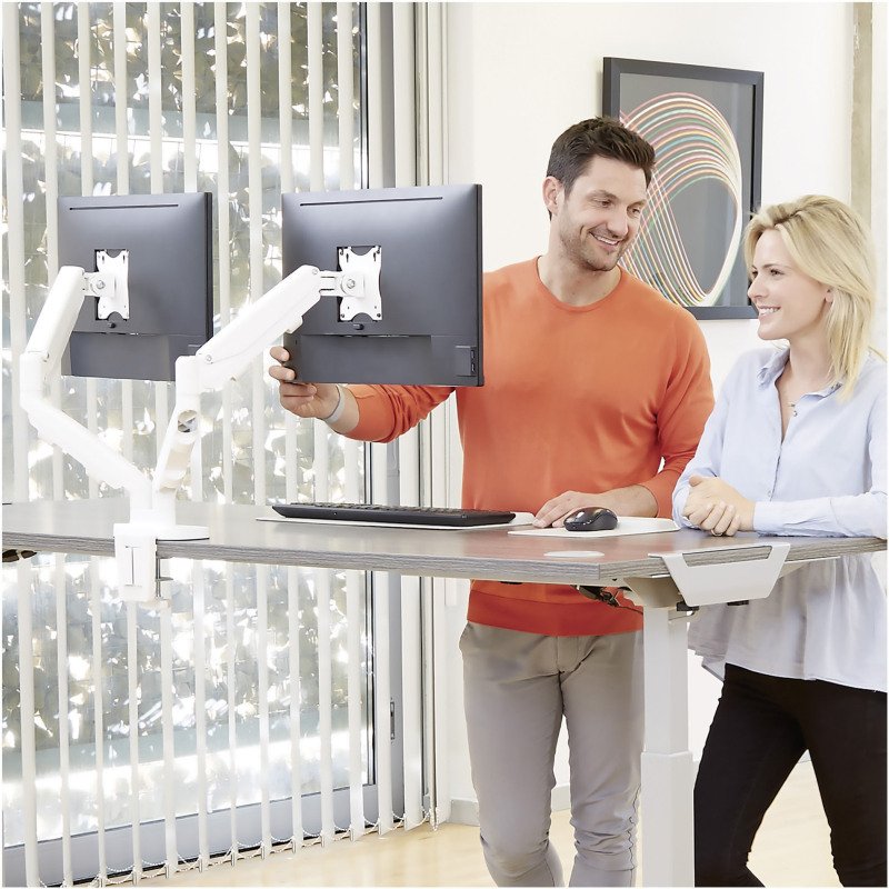 Bras support écrans double Eppa Fellowes