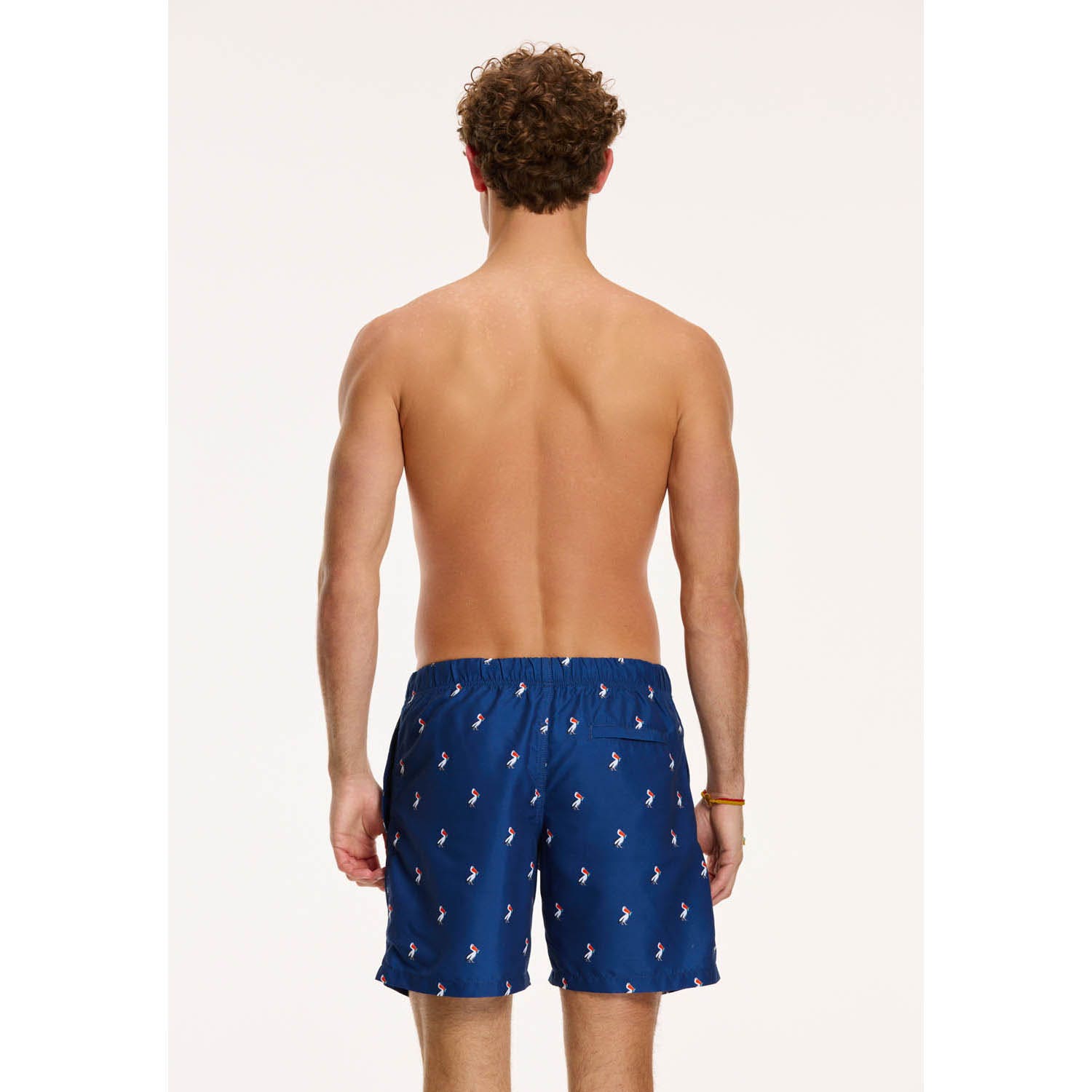 Shiwi  Swimshort Pelican