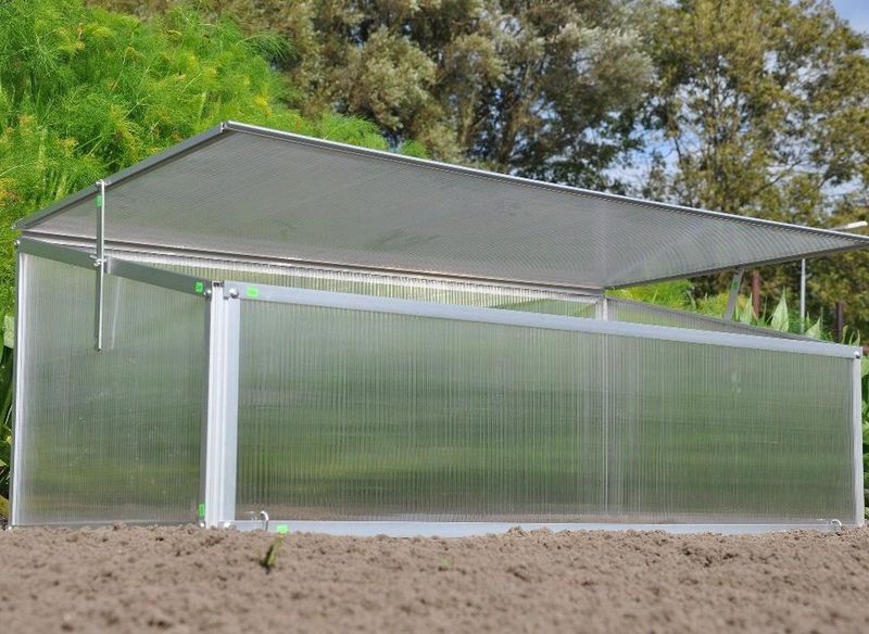 Royal Well - Broeikas Viola - Polycarbonaat