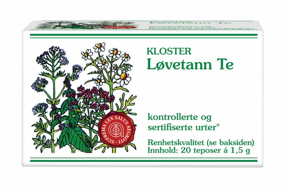 Løvetann te