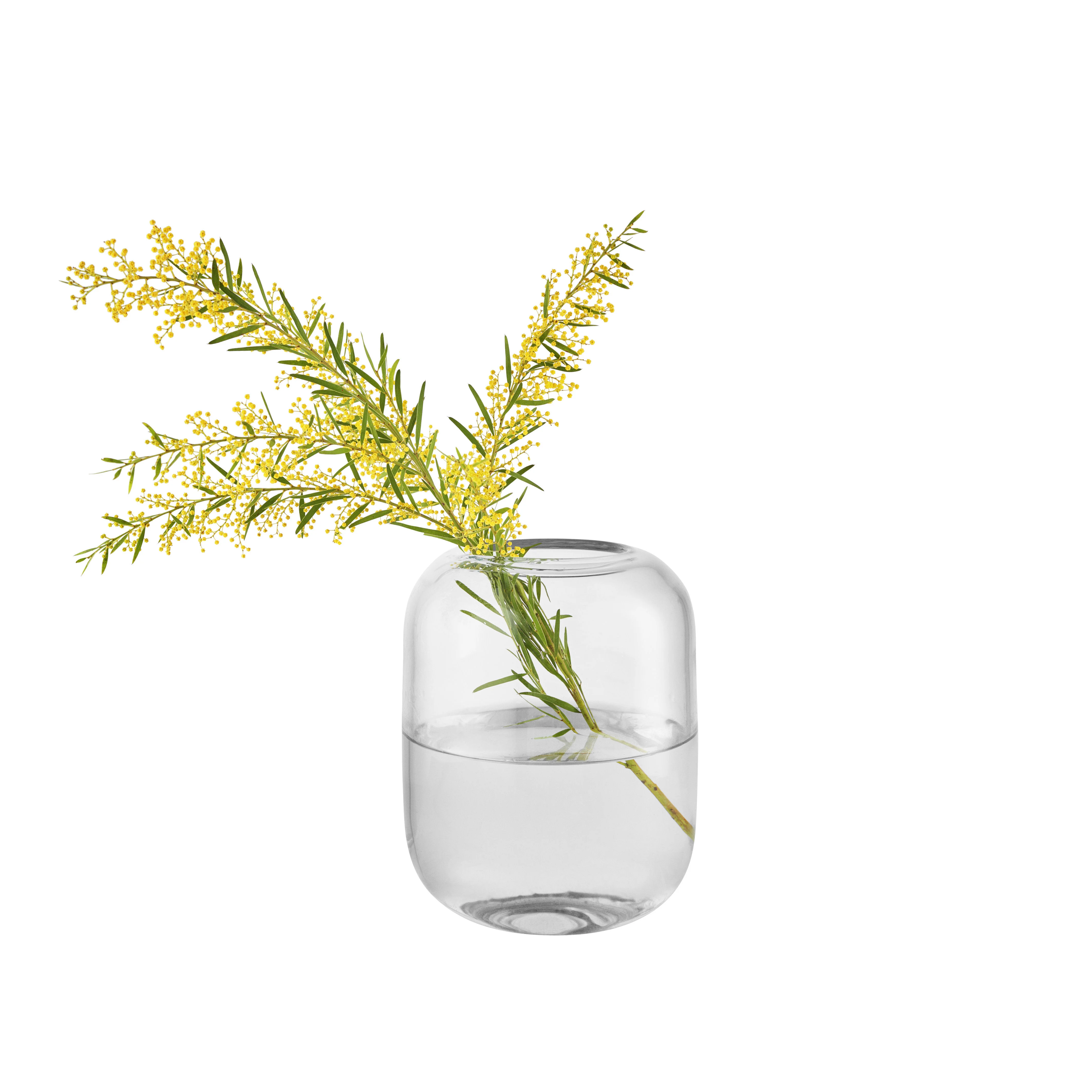 ACORN - Vase verre | Transparent