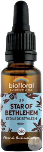 Biofloral 29 Star Of Bethlehem Étoile De Bethleem Fleur De Bach Flacon Compte-Gouttes Bio Demeter 20