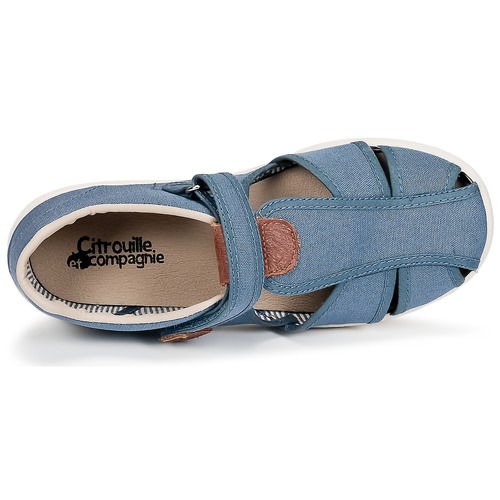 Citrouille et Compagnie - GUNCAL - Bleu